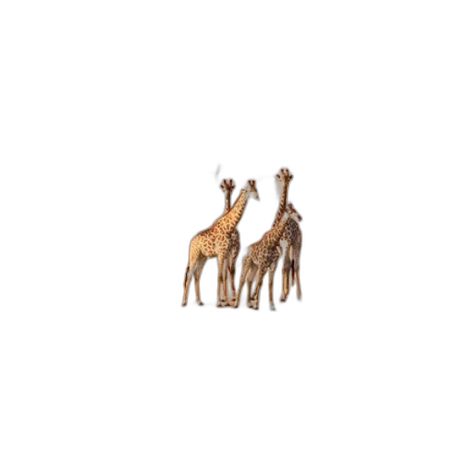 animal, creature, furniture, pixel art transparent PNG cut-out