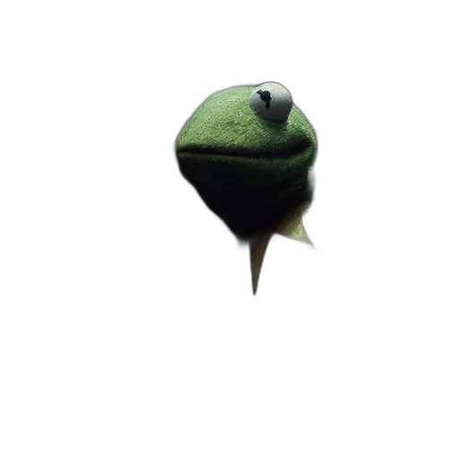 hat, staff, face, creature transparent PNG cut-out
