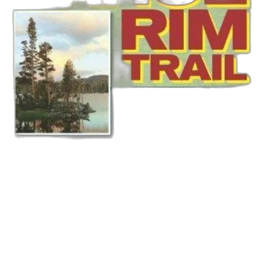 tree, concept art, cover, tahoe transparent PNG cut-out