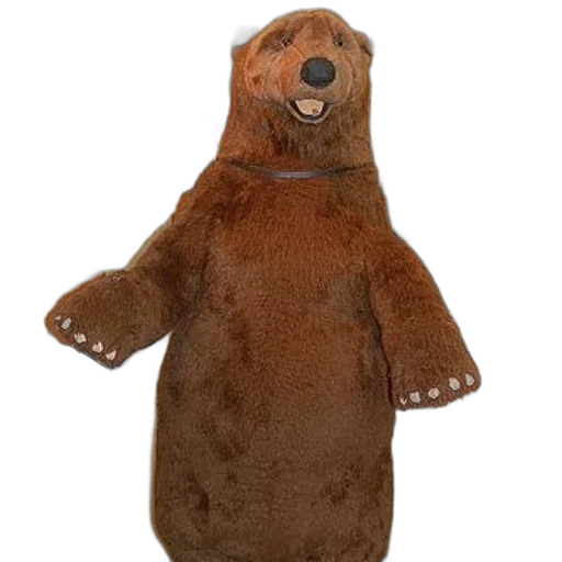 animal, creature, staff, jacket transparent PNG cut-out