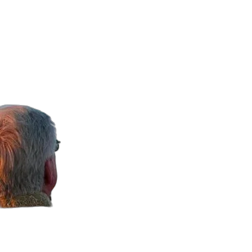 hair, mask, face, crown transparent PNG cut-out