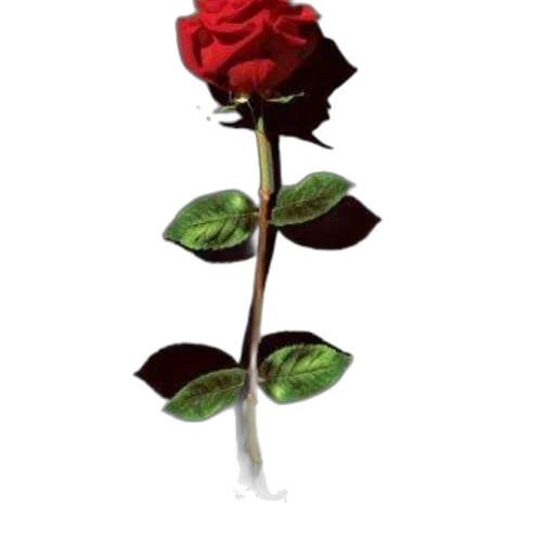 flower, staff, crown, weapon transparent PNG cut-out