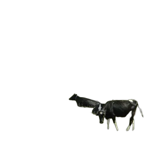animal, robot, weapon, furniture transparent PNG cut-out