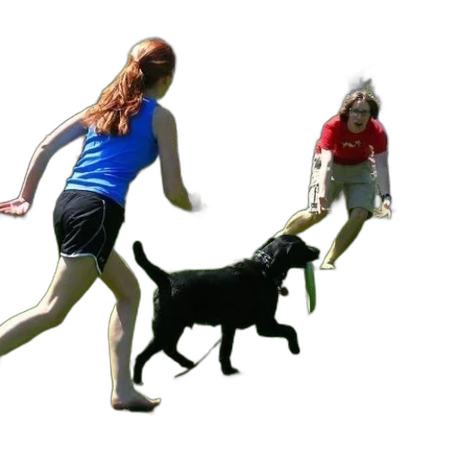 animal, staff, creature, 3d render transparent PNG cut-out