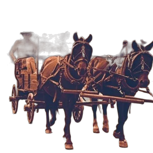 staff, car, animal, furniture transparent PNG cut-out