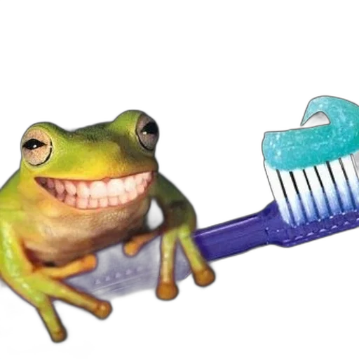 animal, creature, staff, weapon transparent PNG cut-out