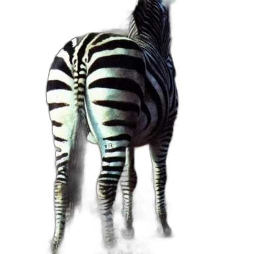animal, creature, staff, dress transparent PNG cut-out