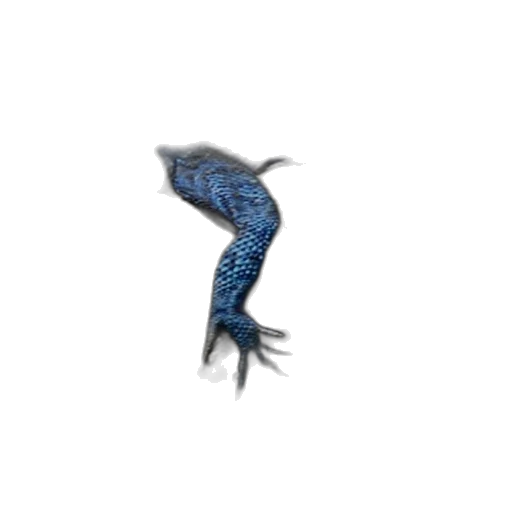 dragon, animal, creature, hair transparent PNG cut-out