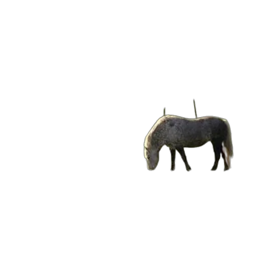 animal, creature, dragon, hair transparent PNG cut-out