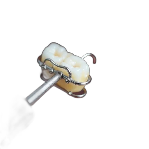 staff, weapon, food, sword transparent PNG cut-out