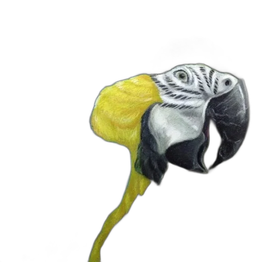 hat, flower, mask, hair transparent PNG cut-out