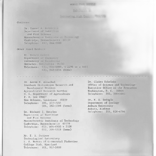 underwater, forest, document, titled transparent PNG cut-out