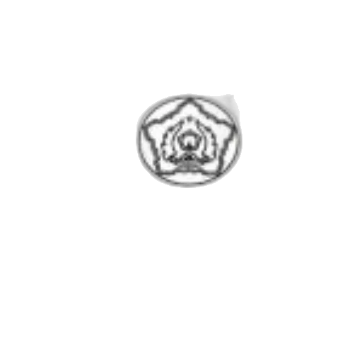 jewelry, crown, flower, staff transparent PNG cut-out
