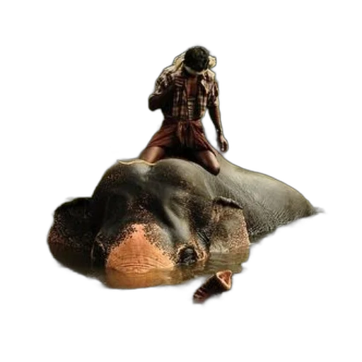 food, animal, creature, weapon transparent PNG cut-out