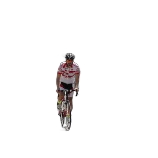 animal, 3d render, pixel art, cyclist transparent PNG cut-out