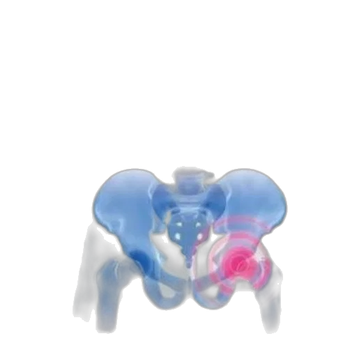 jewelry, animal, robot, furniture transparent PNG cut-out