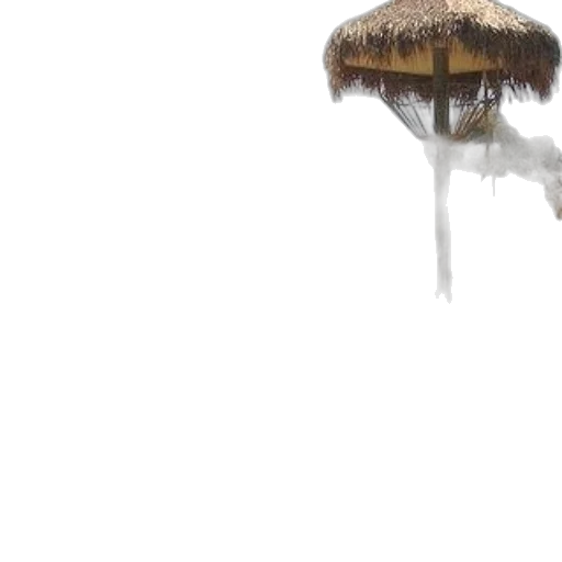 umbrella, crown, hat, hair transparent PNG cut-out