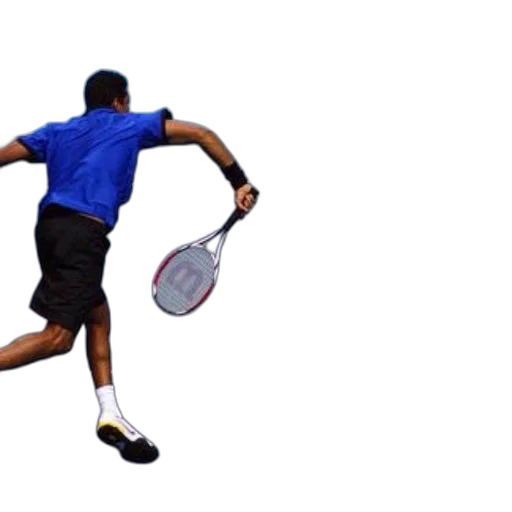 staff, tennis, player, blue transparent PNG cut-out