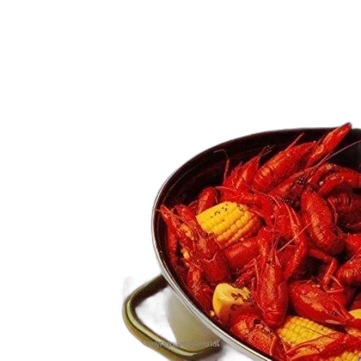 food, animal, hat, dragon transparent PNG cut-out