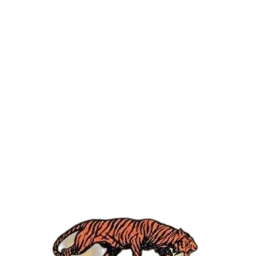 animal, creature, hat, hair transparent PNG cut-out