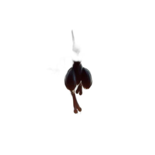 jewelry, hair, staff, food transparent PNG cut-out