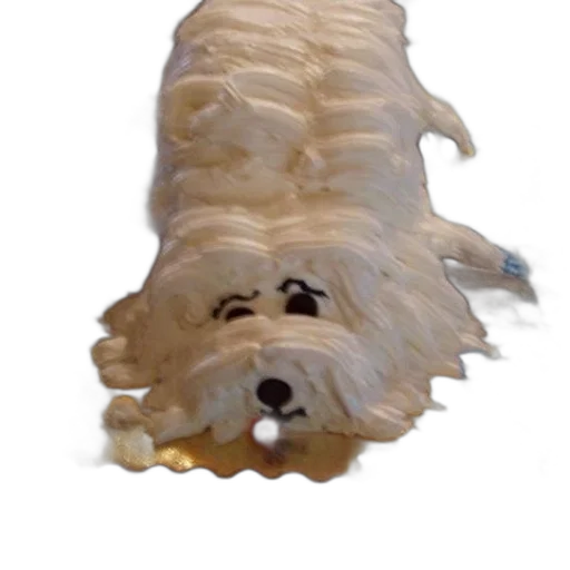 creature, animal, hair, mask transparent PNG cut-out