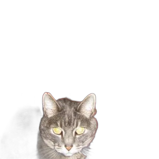 animal, creature, staff, face transparent PNG cut-out