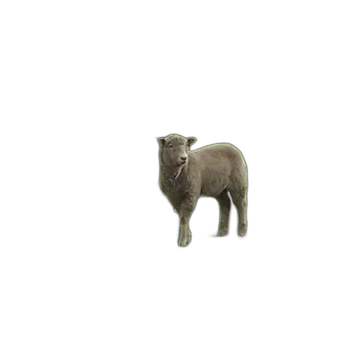 animal, creature, weapon, furniture transparent PNG cut-out