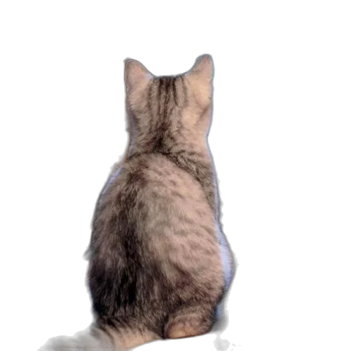 animal, staff, creature, robot transparent PNG cut-out