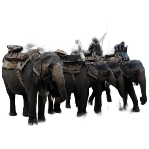 animal, staff, weapon, hat transparent PNG cut-out