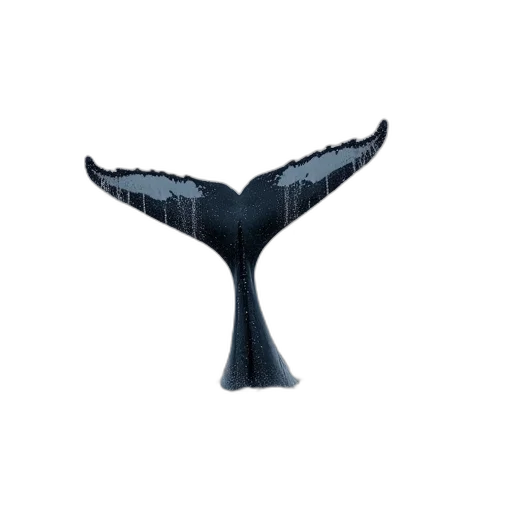 umbrella, crown, hat, furniture transparent PNG cut-out