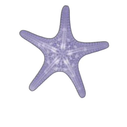 crown, staff, animal, hat transparent PNG cut-out