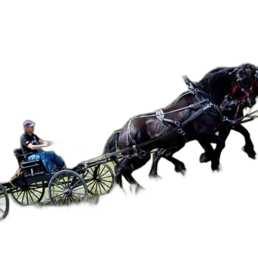 animal, car, photorealistic, concept art transparent PNG cut-out