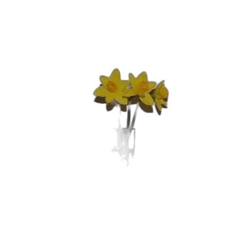 flower, crown, jewelry, tree transparent PNG cut-out