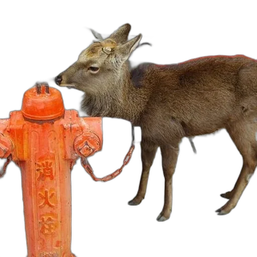 animal, staff, weapon, 3d render transparent PNG cut-out