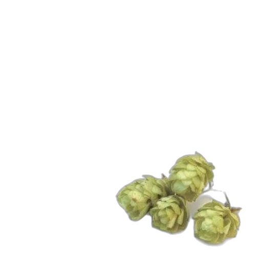 food, crown, flower, jewelry transparent PNG cut-out