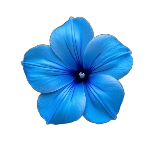 flower, jewelry, crown, staff transparent PNG cut-out