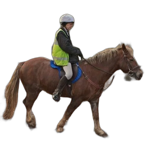 jacket, staff, animal, person transparent PNG cut-out