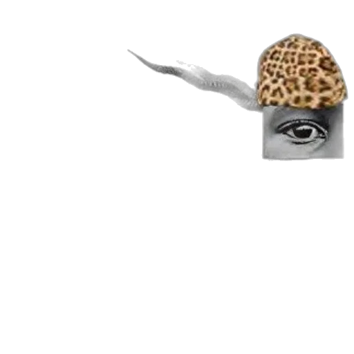 hat, animal, mask, jewelry transparent PNG cut-out
