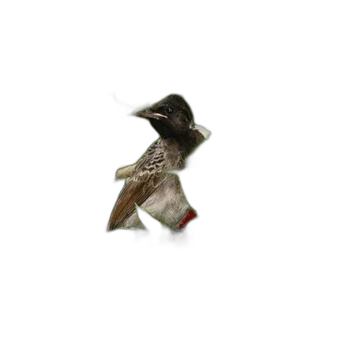 animal, hat, staff, creature transparent PNG cut-out