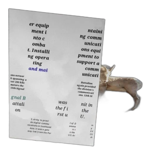 animal, food, creature, robot transparent PNG cut-out
