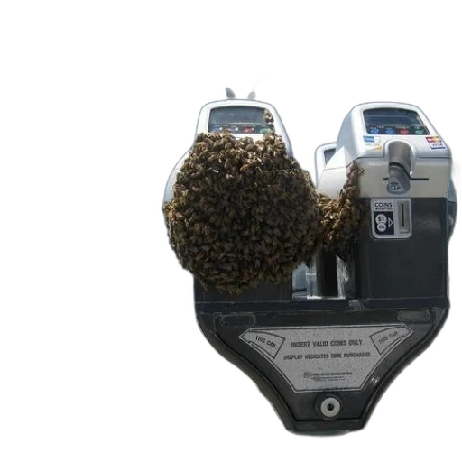 robot, food, jewelry, crown transparent PNG cut-out