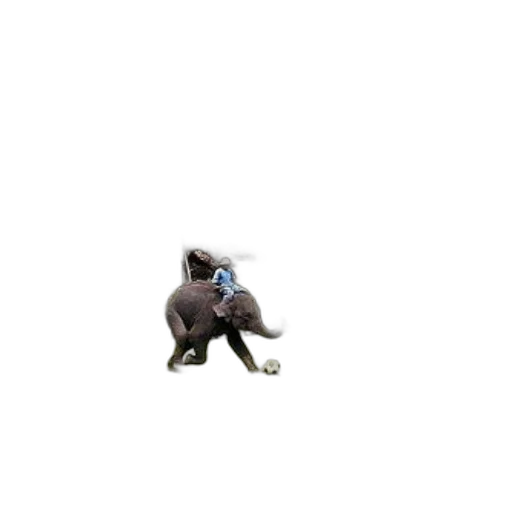 creature, animal, robot, dragon transparent PNG cut-out