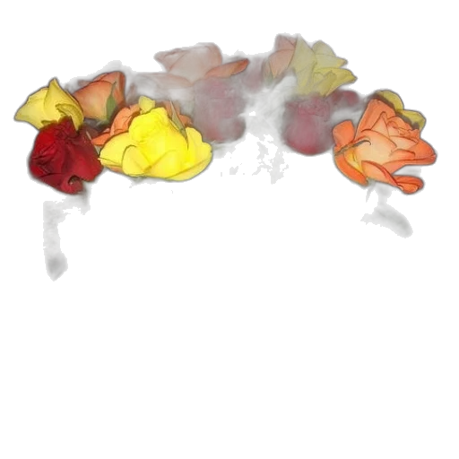 crown, flower, food, hat transparent PNG cut-out