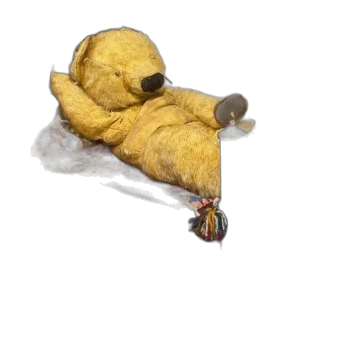 umbrella, food, mask, jacket transparent PNG cut-out