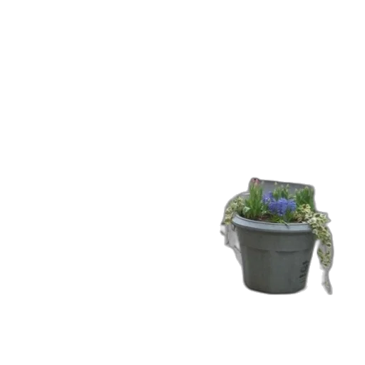 flower, robot, hat, crown transparent PNG cut-out