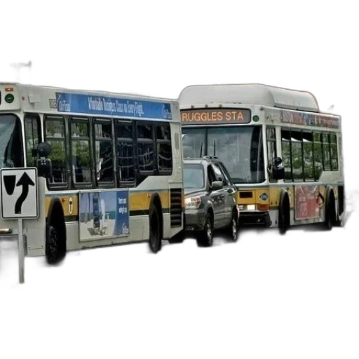 concept art, photorealistic, 3d render, two transparent PNG cut-out
