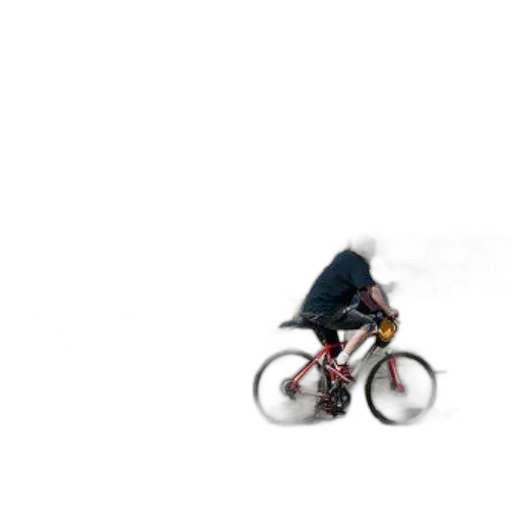 jacket, animal, creature, car transparent PNG cut-out