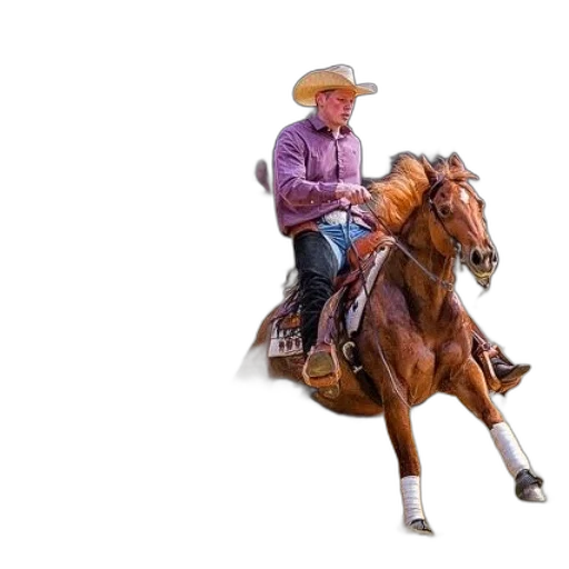 animal, hat, photorealistic, man transparent PNG cut-out
