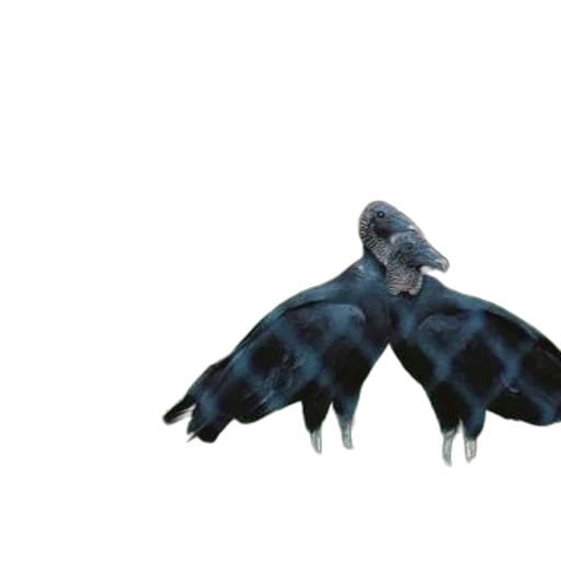 umbrella, creature, animal, dragon transparent PNG cut-out